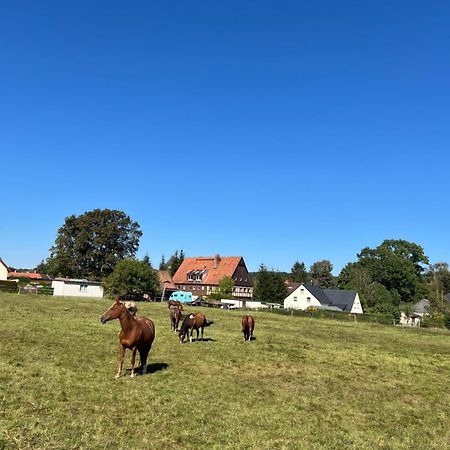Ferienwohnung Kottmar Walddorf  外观 照片